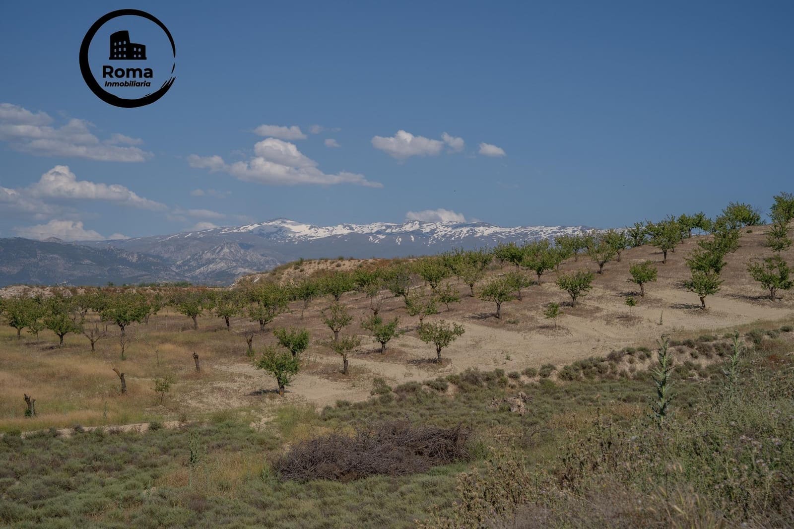 Terreno Non Edificato in vendita in Alhendin - 102.000 € (Rif: 9584482)