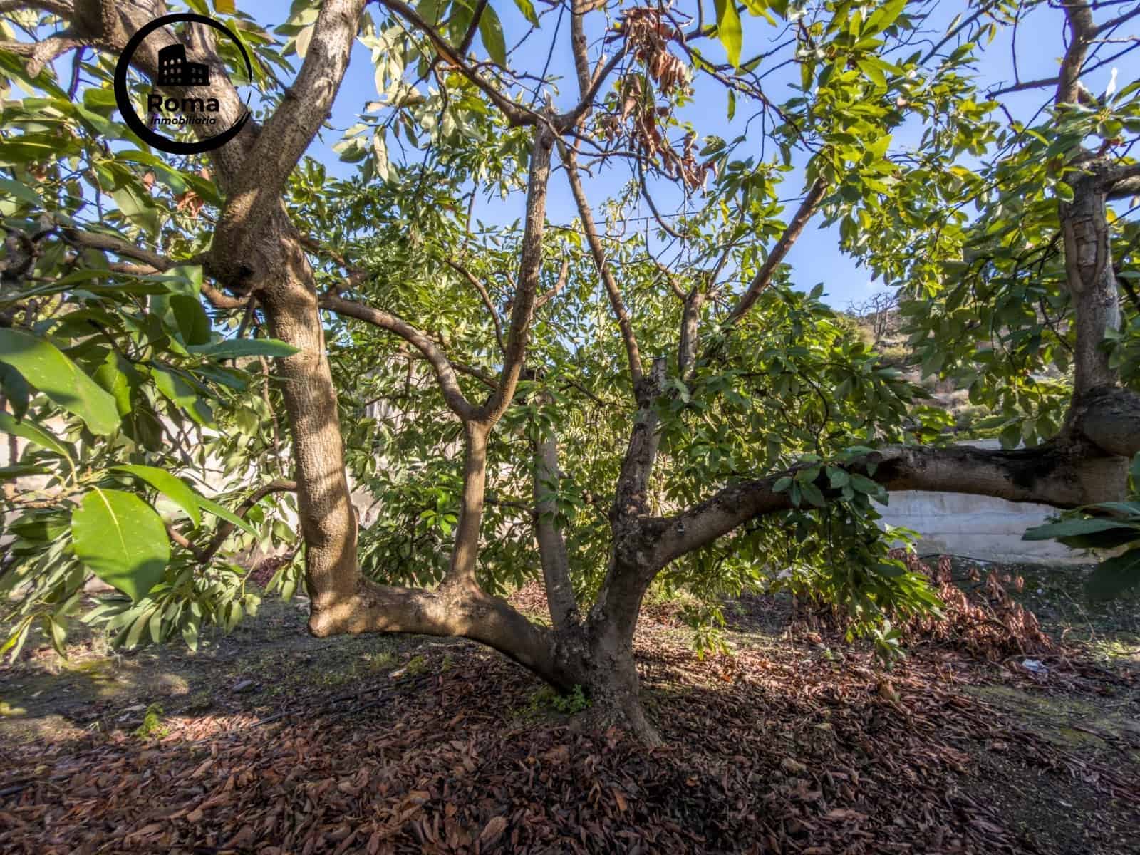 Finca/Casa Rural de 1 habitación en Los Guajares en venta con garaje - 89.900 € (Ref: 9605125)