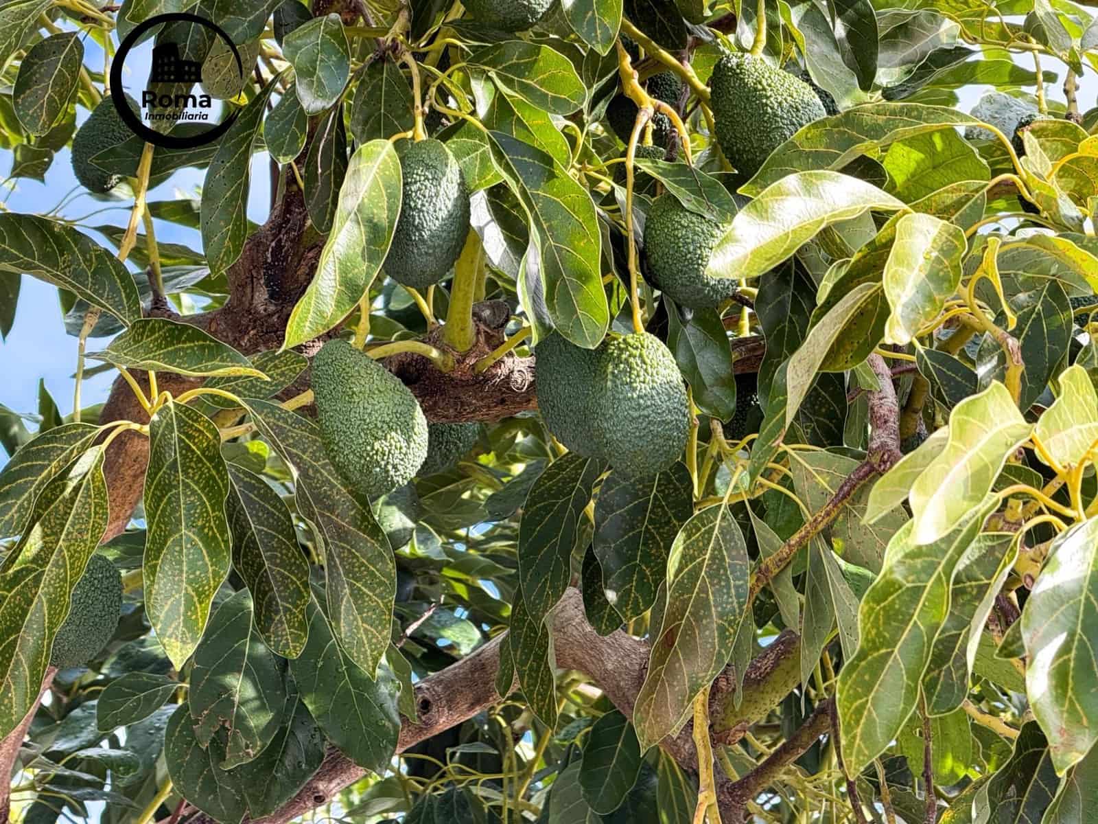 Finca/Casa Rural de 1 habitación en Los Guajares en venta con garaje - 89.900 € (Ref: 9605125)