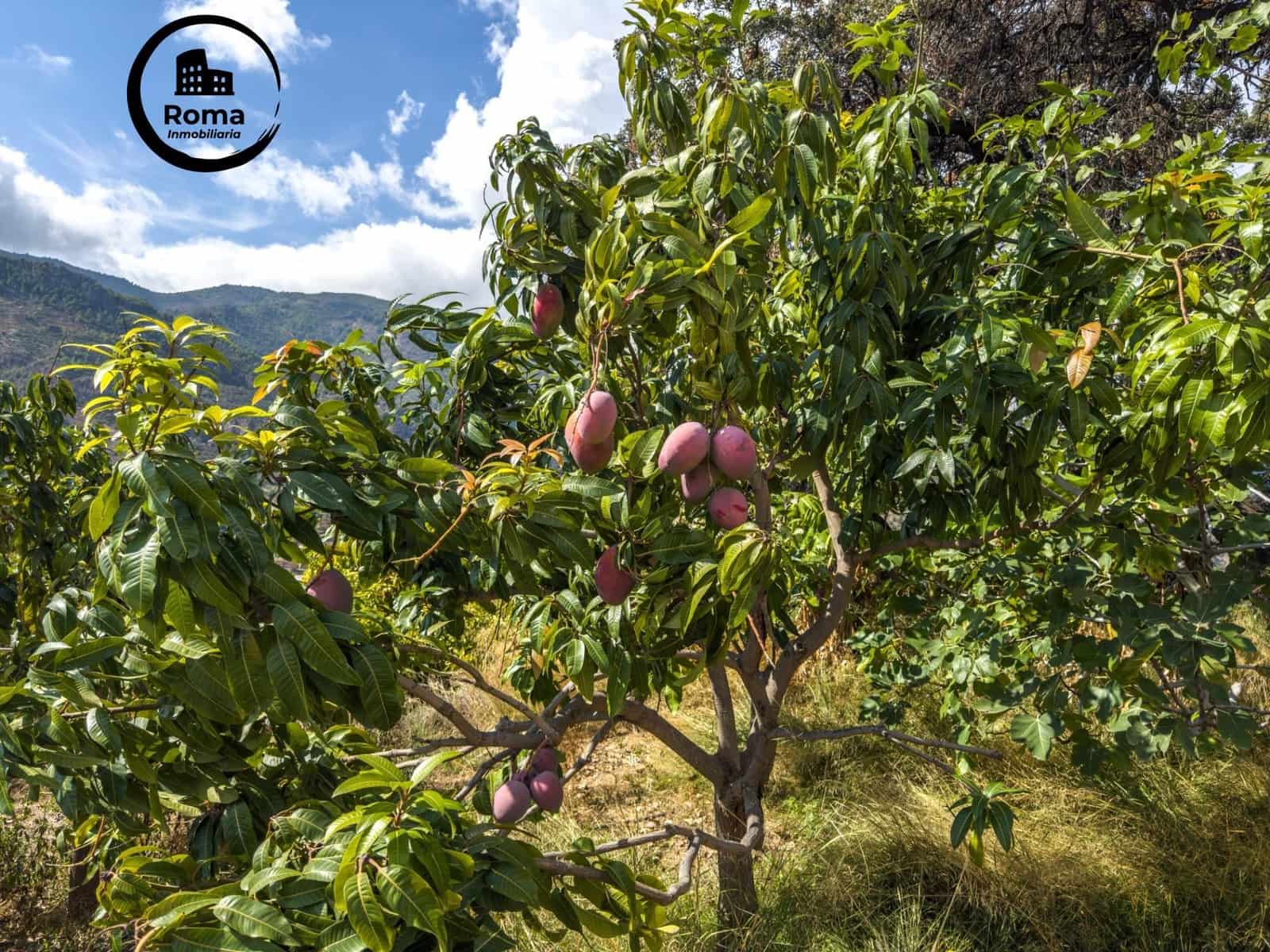 Finca/Casa Rural de 1 habitación en Los Guajares en venta con garaje - 89.900 € (Ref: 9605125)