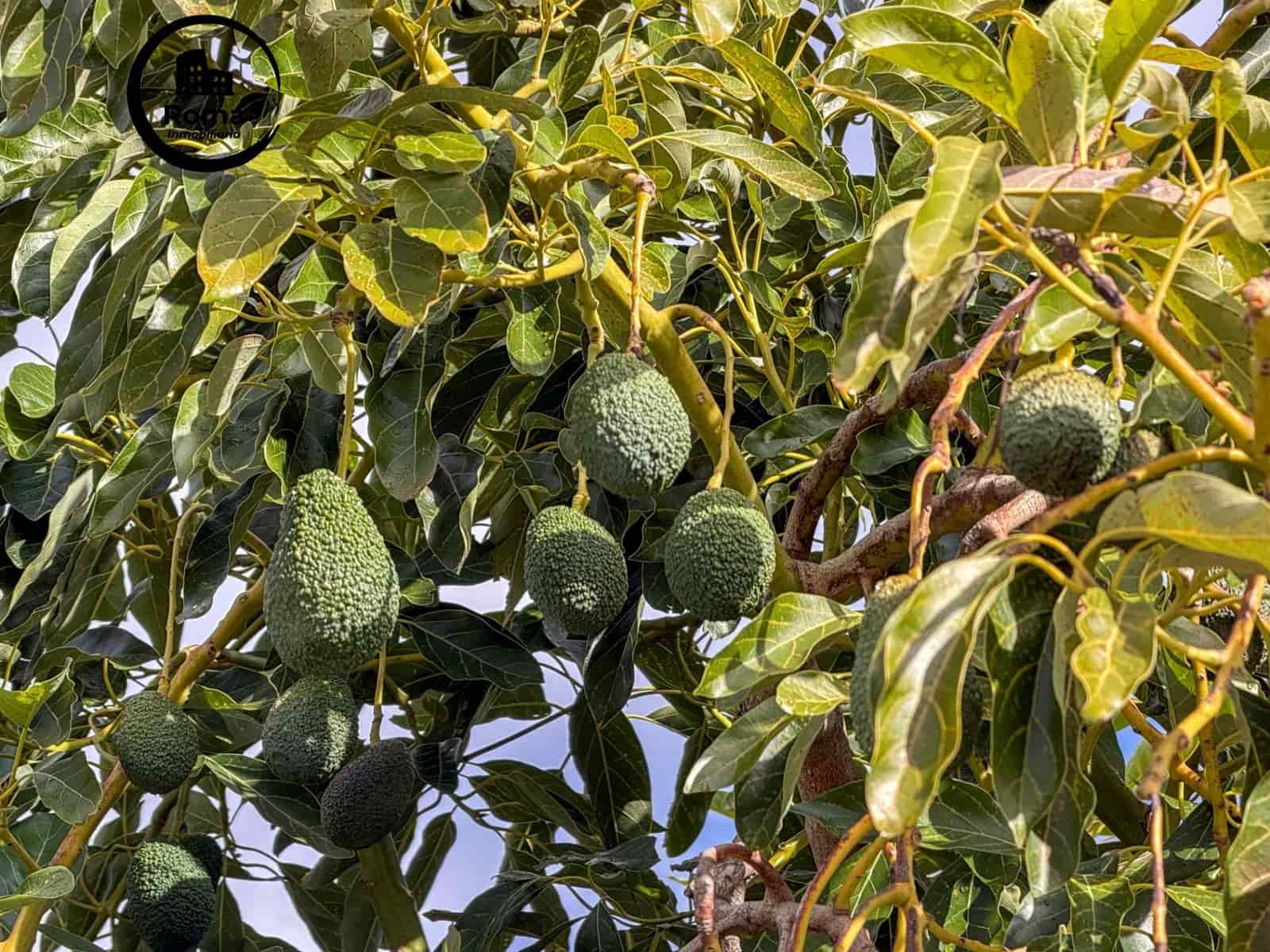 Finca/Casa Rural de 1 habitación en Los Guajares en venta con garaje - 89.900 € (Ref: 9605125)