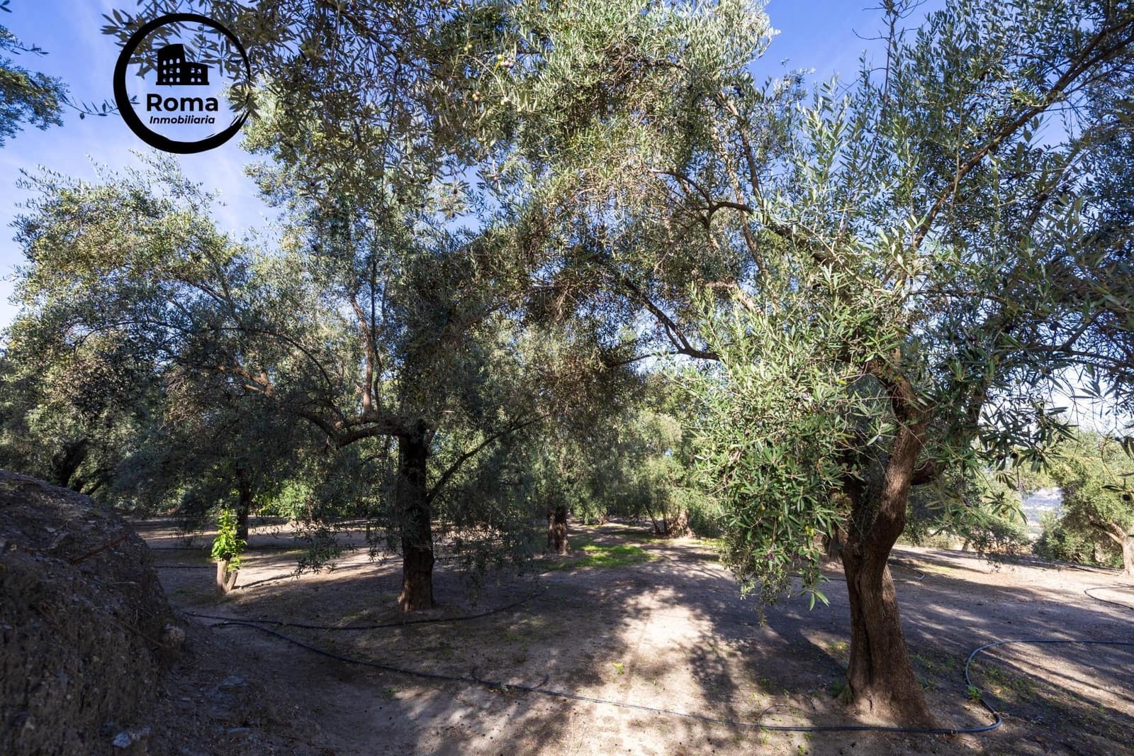 Grunde uden byggetilladelser til salg i Lecrin - € 140.000 (Ref: 9634454)