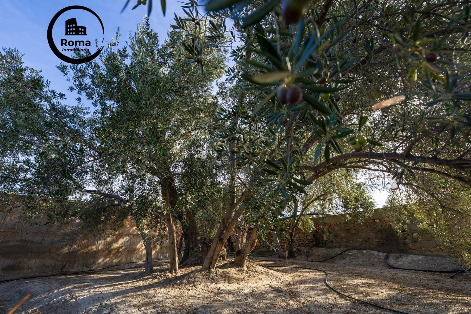 Terreno Não Urbanizado para venda em Lecrin - 140 000 € (Ref: 9648328)