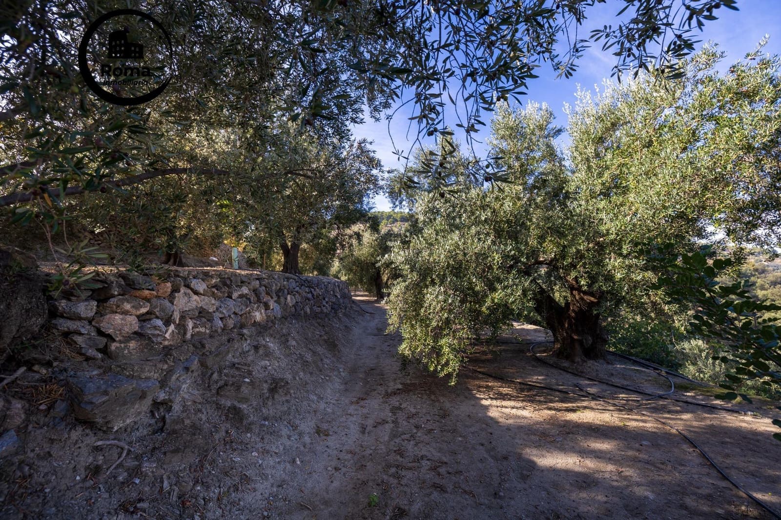 Terreno Não Urbanizado para venda em Lecrin - 140 000 € (Ref: 9648328)