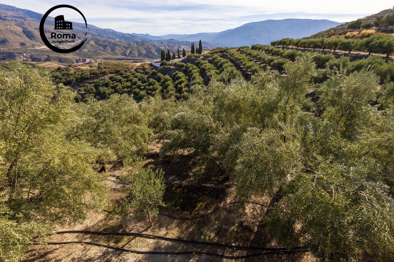 Terreno Não Urbanizado para venda em Lecrin - 140 000 € (Ref: 9648328)