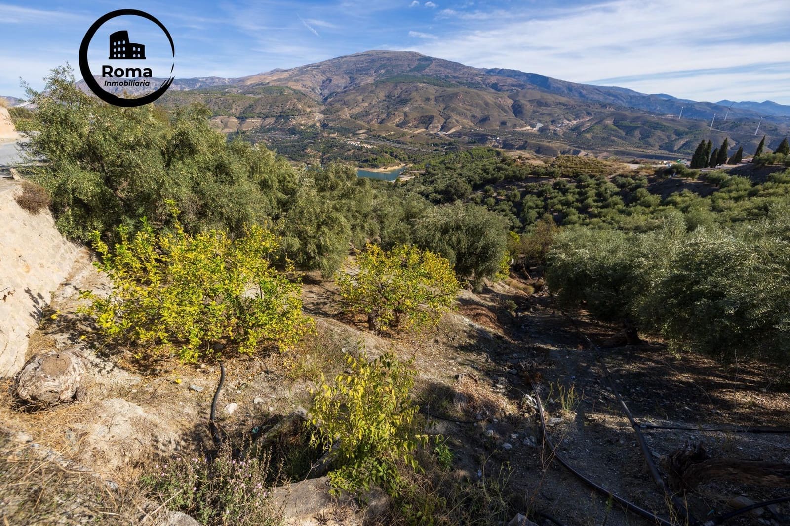 Terreno Não Urbanizado para venda em Lecrin - 140 000 € (Ref: 9648328)