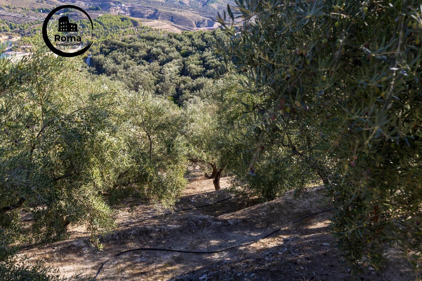 Terreno Não Urbanizado para venda em Lecrin - 140 000 € (Ref: 9648328)