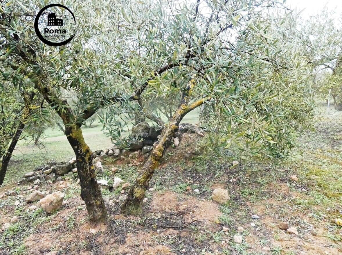 Grunde uden byggetilladelser til salg i Peligros - € 74.000 (Ref: 9702068)