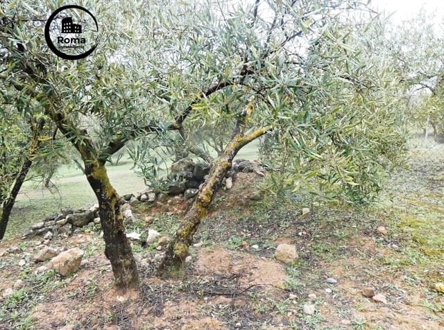 Grunde uden byggetilladelser til salg i Peligros - € 74.000 (Ref: 9702068)