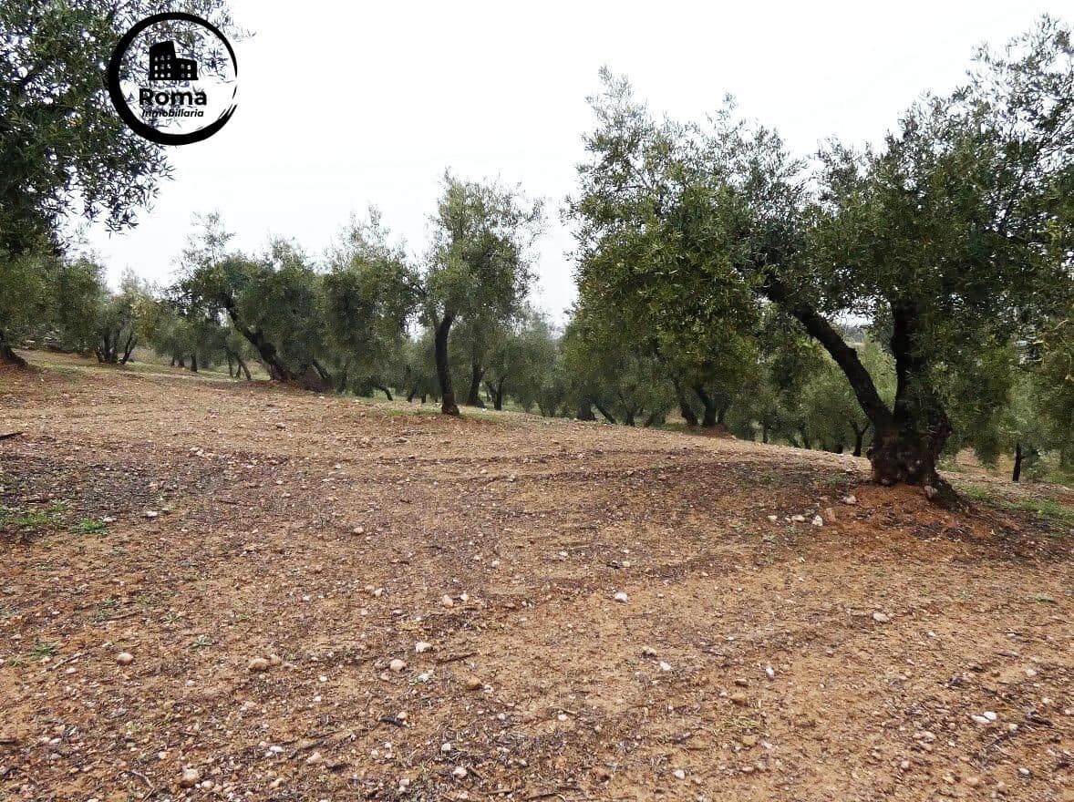 Grunde uden byggetilladelser til salg i Peligros - € 74.000 (Ref: 9702068)