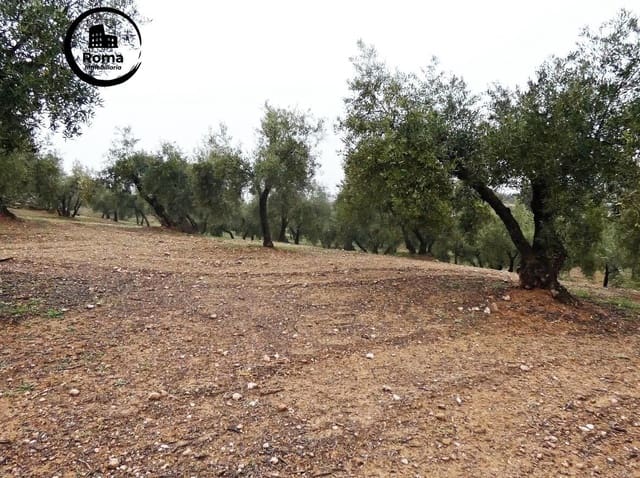 Grunde uden byggetilladelser til salg i Peligros - € 74.000 (Ref: 9702068)