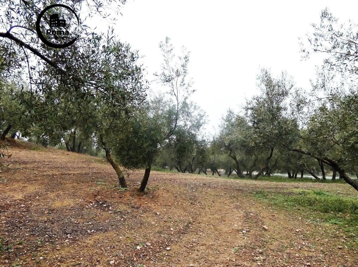 Grunde uden byggetilladelser til salg i Peligros - € 74.000 (Ref: 9702068)