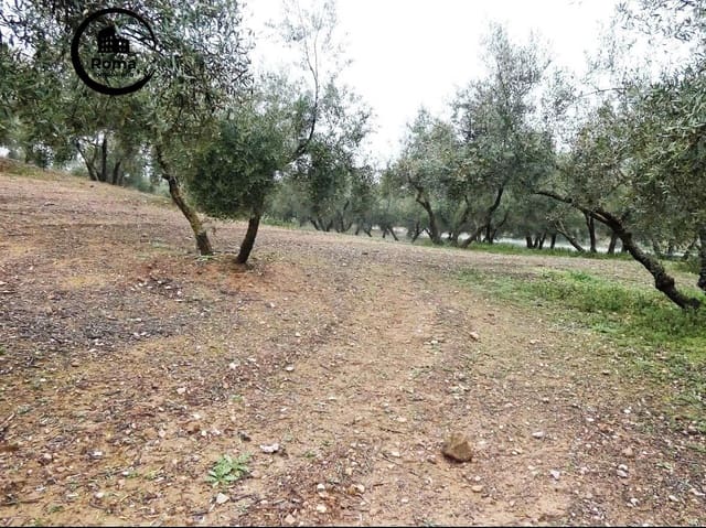 Grunde uden byggetilladelser til salg i Peligros - € 74.000 (Ref: 9702068)