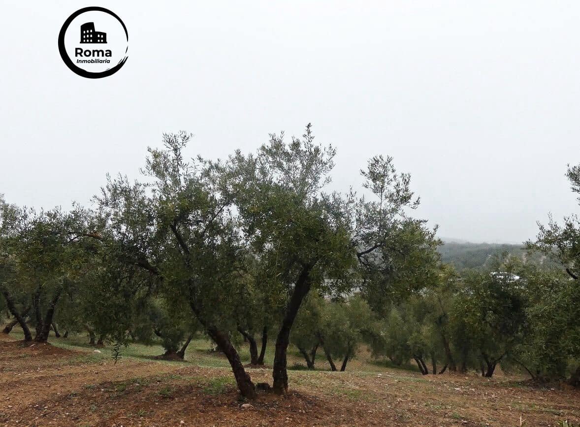 Grunde uden byggetilladelser til salg i Peligros - € 74.000 (Ref: 9702068)