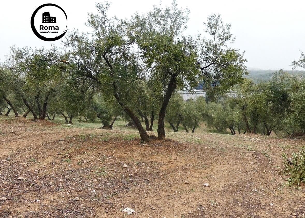 Grunde uden byggetilladelser til salg i Peligros - € 74.000 (Ref: 9702068)