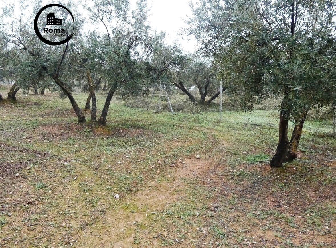 Grunde uden byggetilladelser til salg i Peligros - € 74.000 (Ref: 9702068)