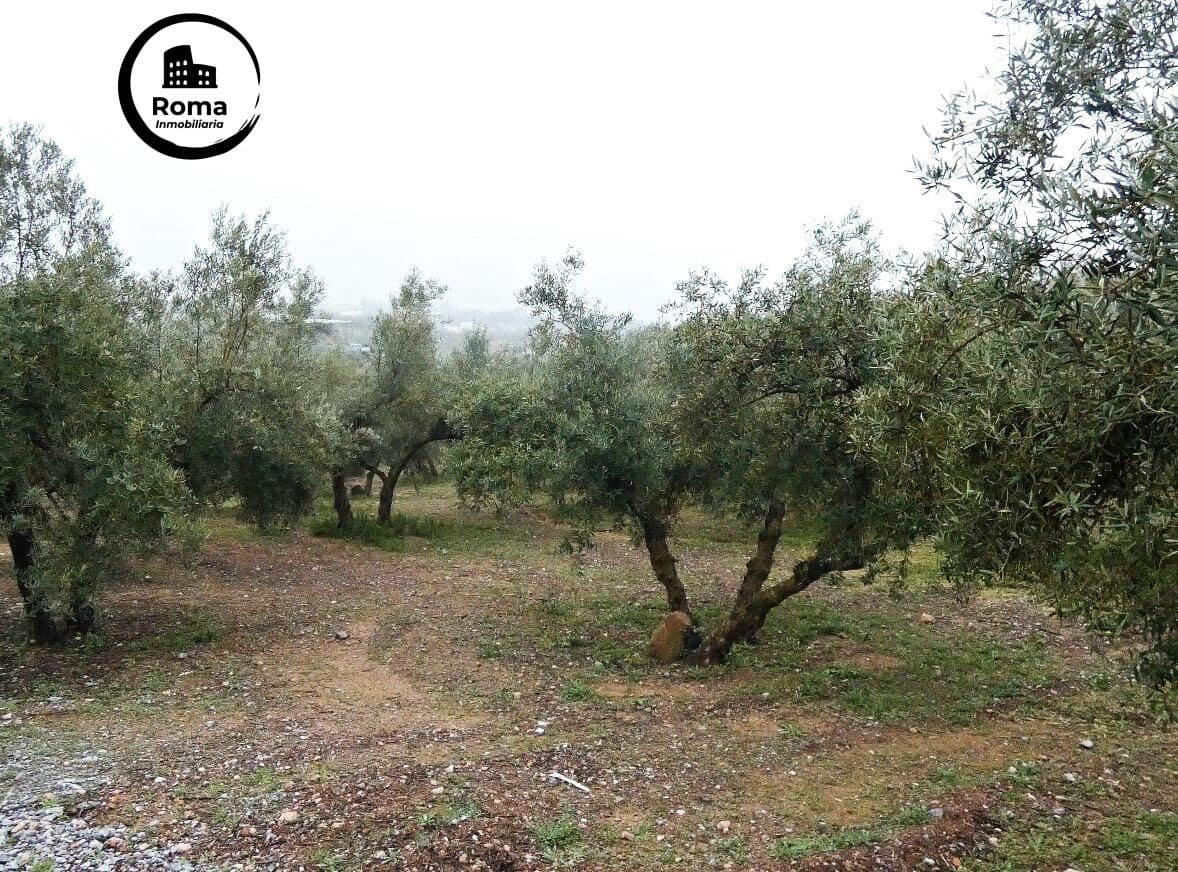 Grunde uden byggetilladelser til salg i Peligros - € 74.000 (Ref: 9702068)