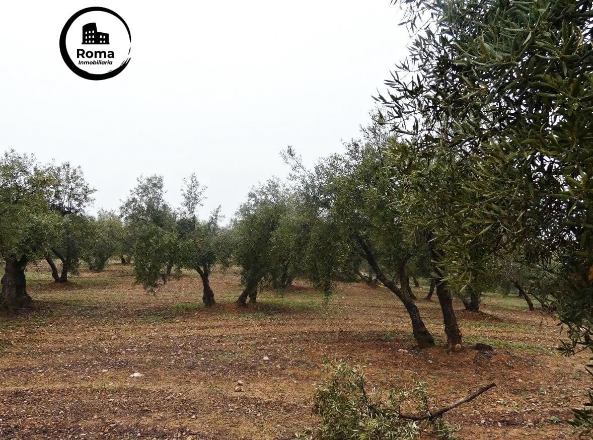 Grunde uden byggetilladelser til salg i Peligros - € 74.000 (Ref: 9702068)