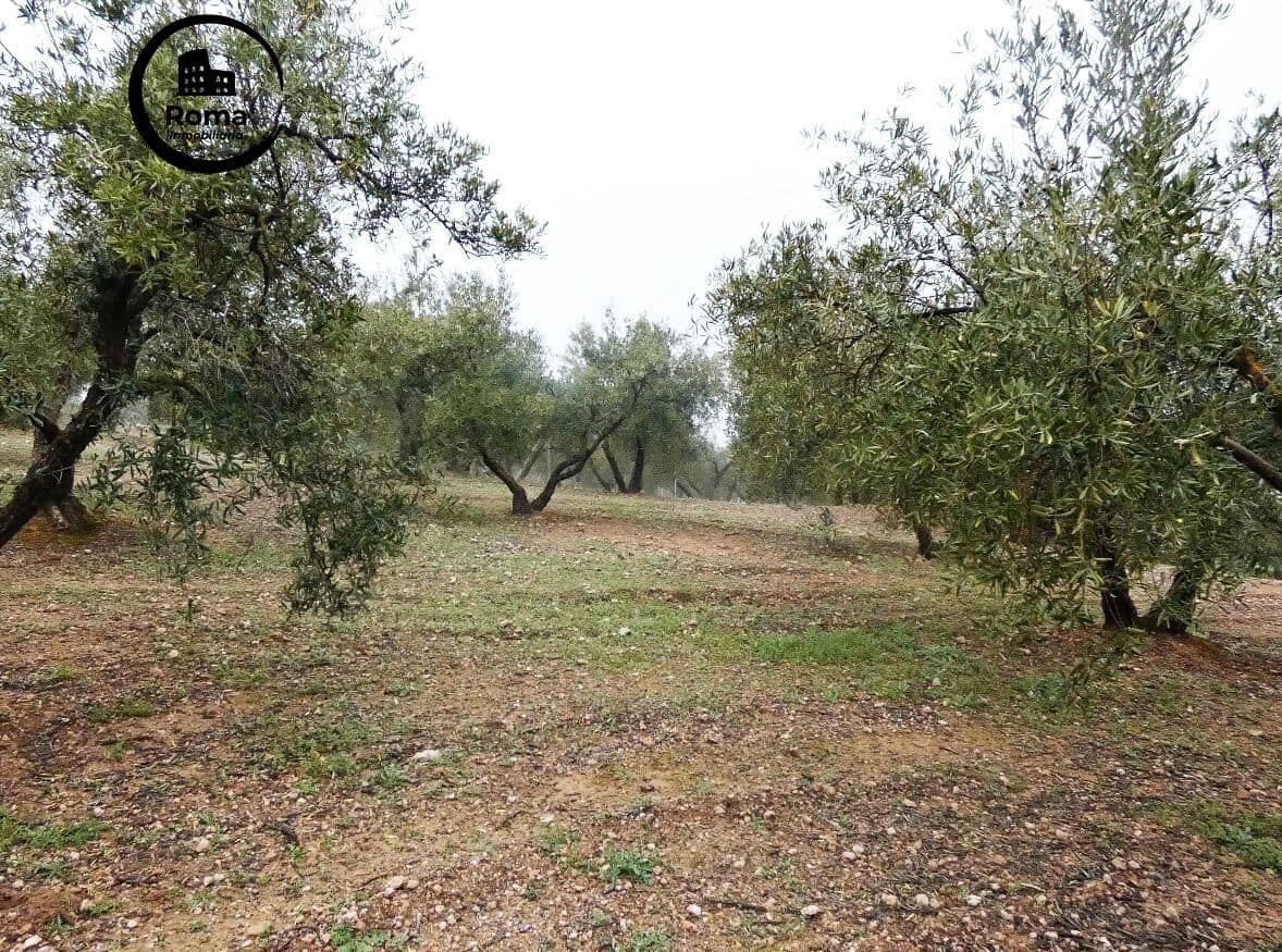 Grunde uden byggetilladelser til salg i Peligros - € 74.000 (Ref: 9702068)