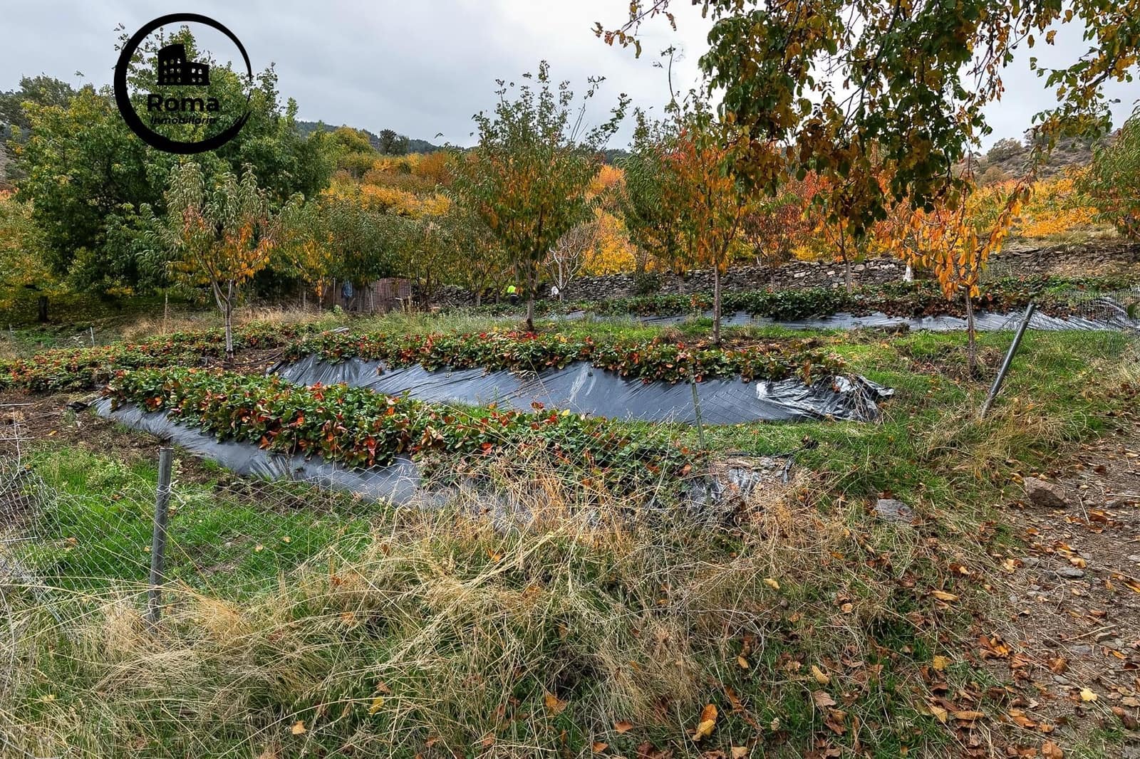 Undeveloped Land for sale in Guejar Sierra - € 199,900 (Ref: 9720107)