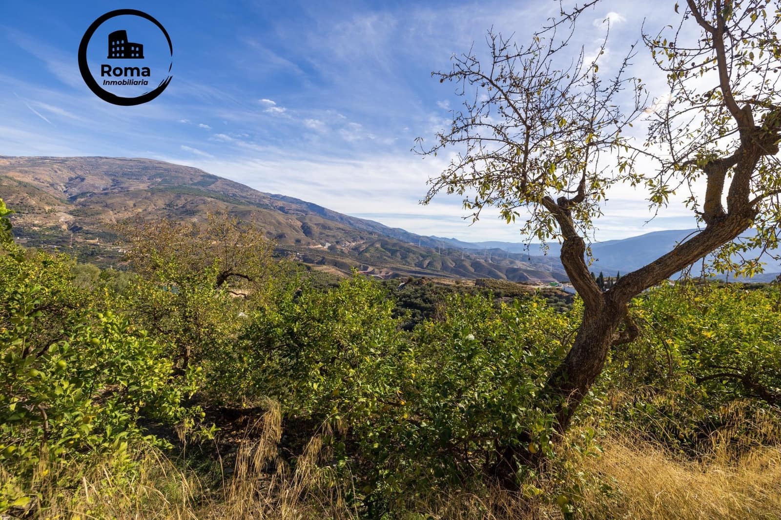 Undeveloped Land for sale in Lecrin - € 140,000 (Ref: 9720109)