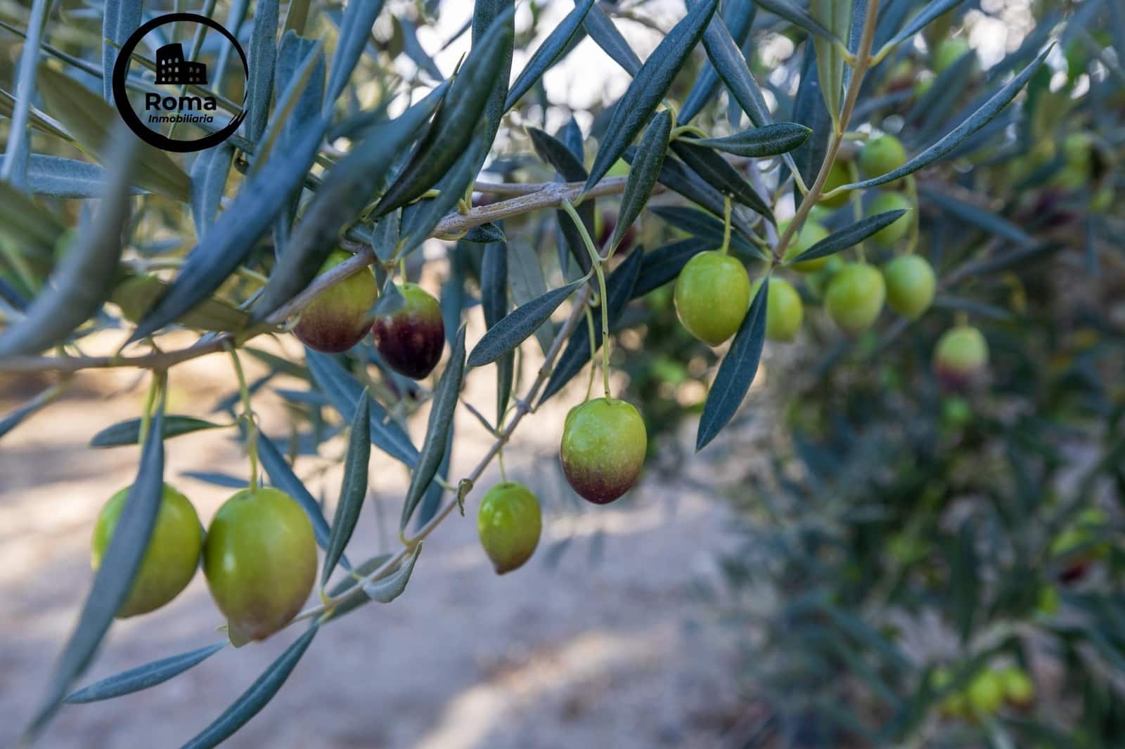 Undeveloped Land for sale in Lecrin - € 140,000 (Ref: 9720109)