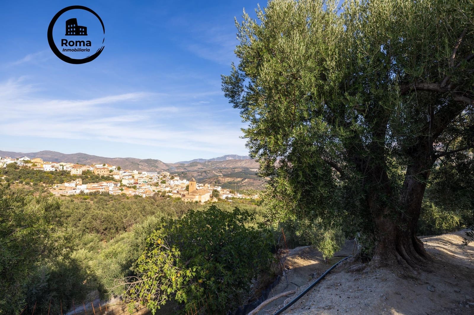 Undeveloped Land for sale in Lecrin - € 140,000 (Ref: 9720109)