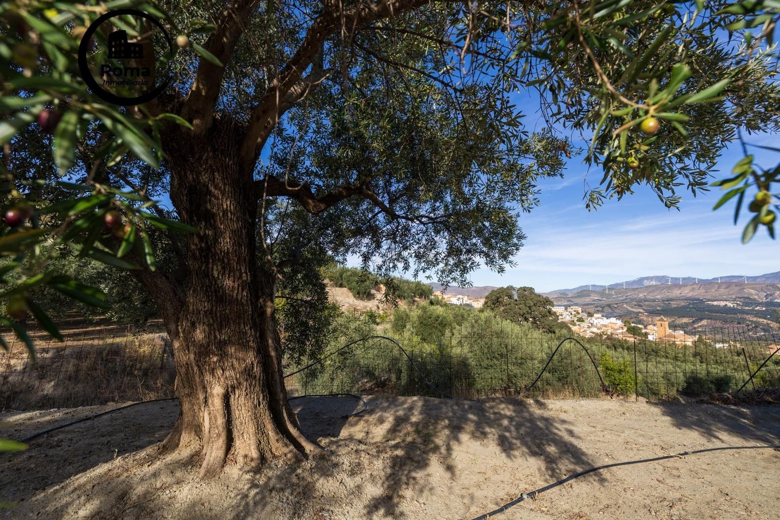 Undeveloped Land for sale in Lecrin - € 140,000 (Ref: 9720109)