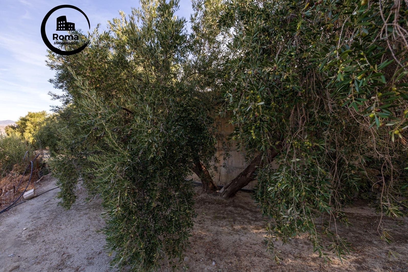 Undeveloped Land for sale in Lecrin - € 140,000 (Ref: 9720109)