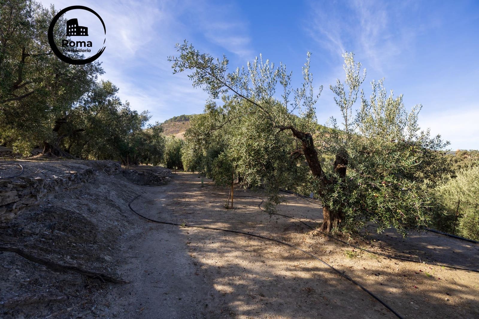 Undeveloped Land for sale in Lecrin - € 140,000 (Ref: 9720109)