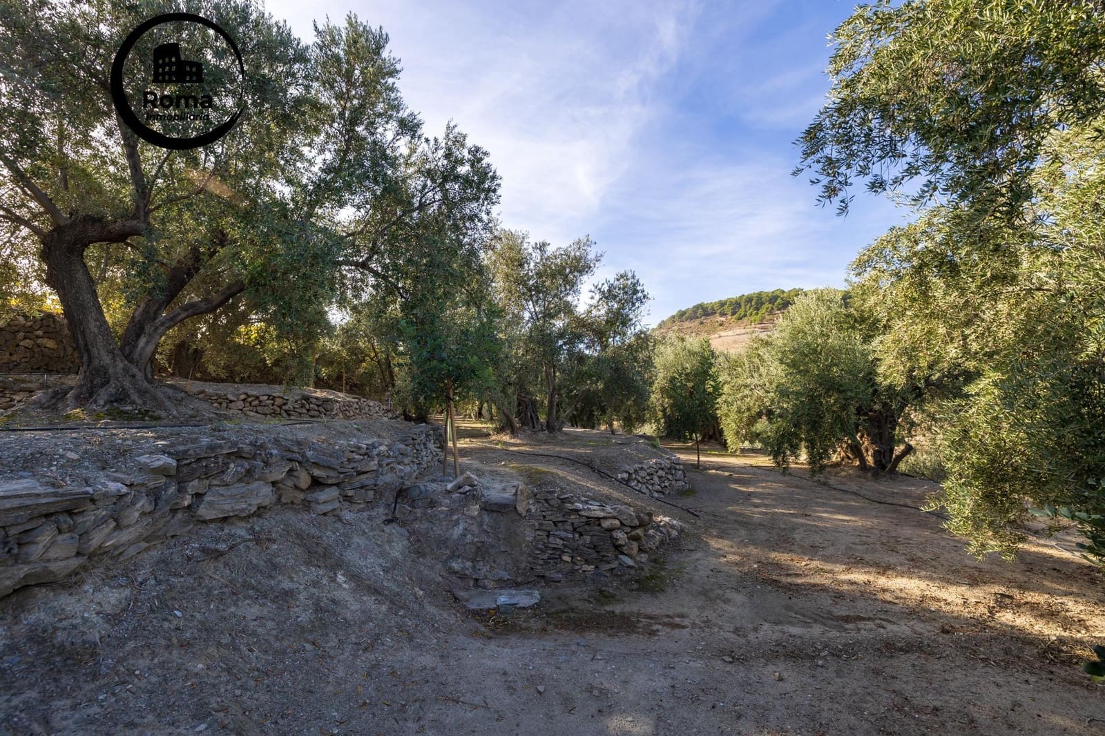 Undeveloped Land for sale in Lecrin - € 140,000 (Ref: 9720109)