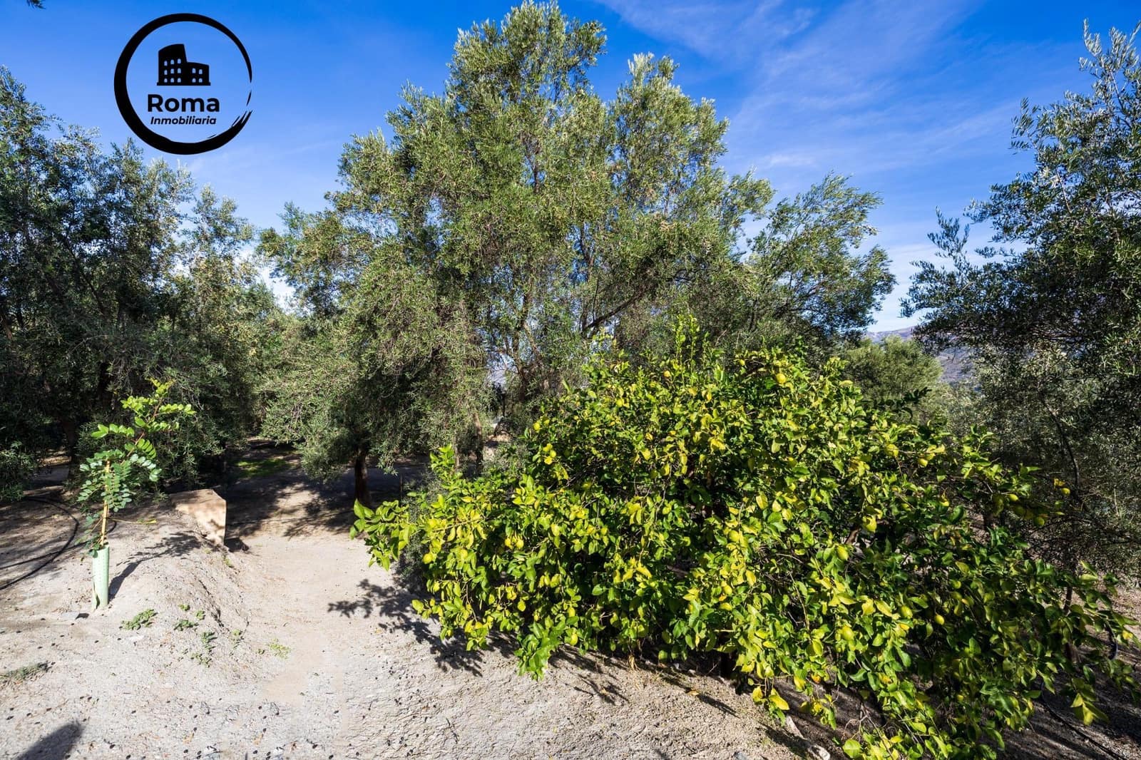 Undeveloped Land for sale in Lecrin - € 140,000 (Ref: 9720109)