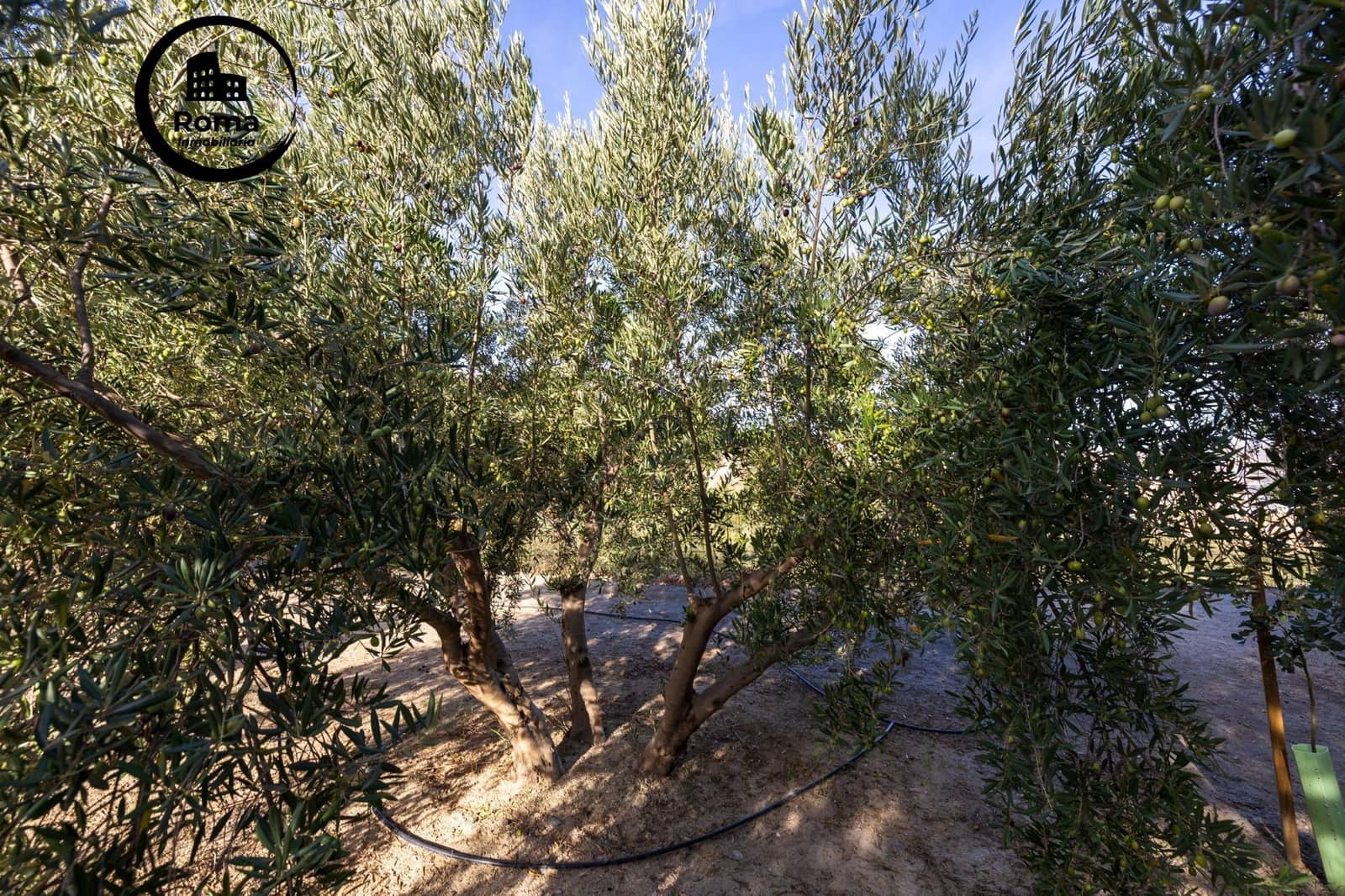 Undeveloped Land for sale in Lecrin - € 140,000 (Ref: 9720109)