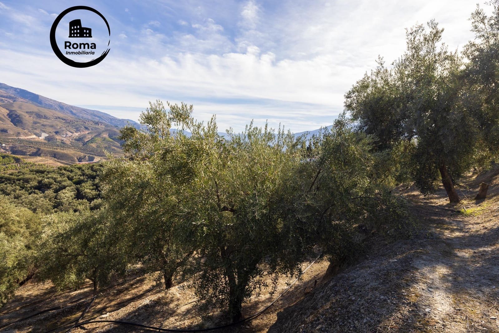 Undeveloped Land for sale in Lecrin - € 140,000 (Ref: 9720109)