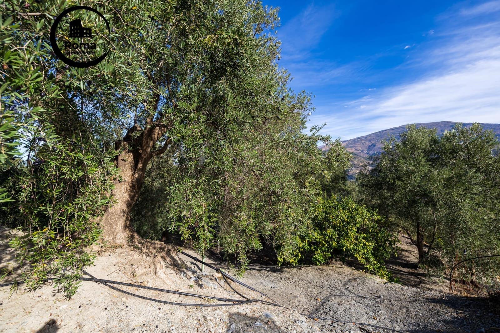 Undeveloped Land for sale in Lecrin - € 140,000 (Ref: 9720109)