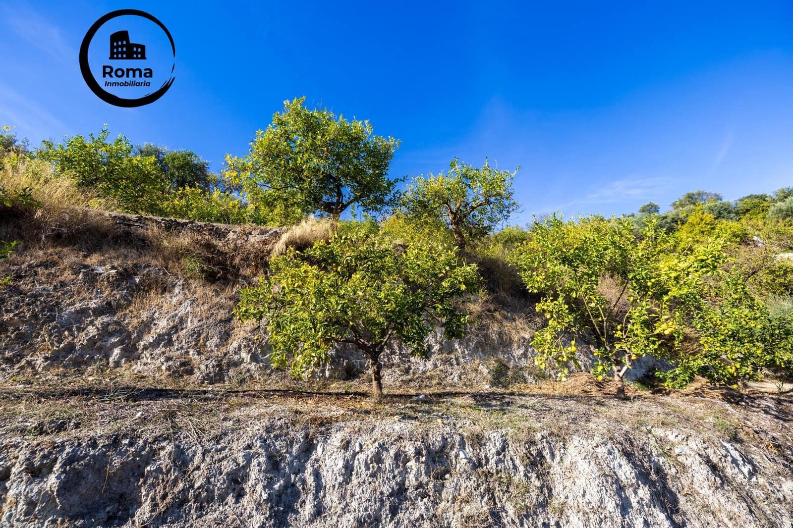 Undeveloped Land for sale in Lecrin - € 140,000 (Ref: 9720109)