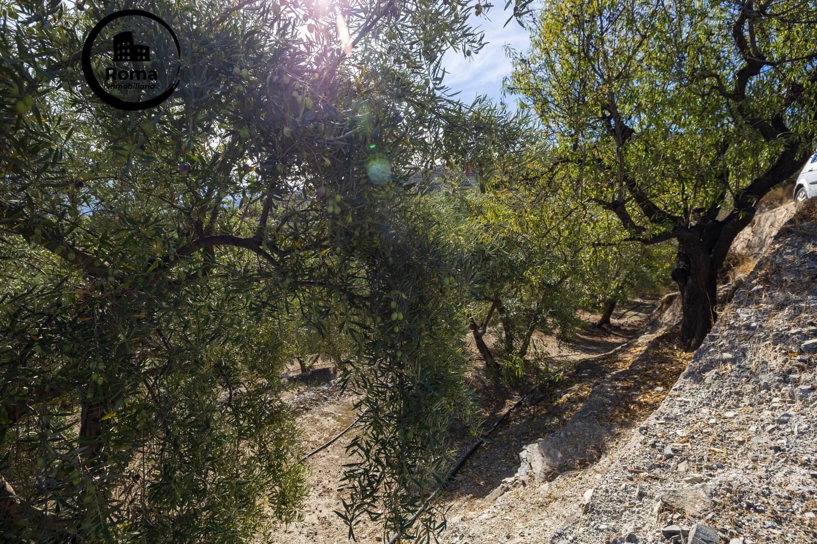 Undeveloped Land for sale in Lecrin - € 140,000 (Ref: 9720109)