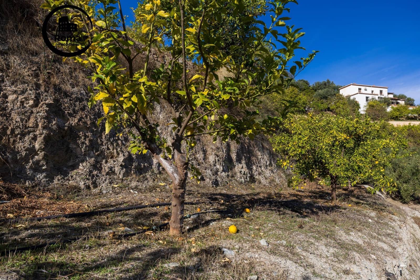 Undeveloped Land for sale in Lecrin - € 140,000 (Ref: 9720109)