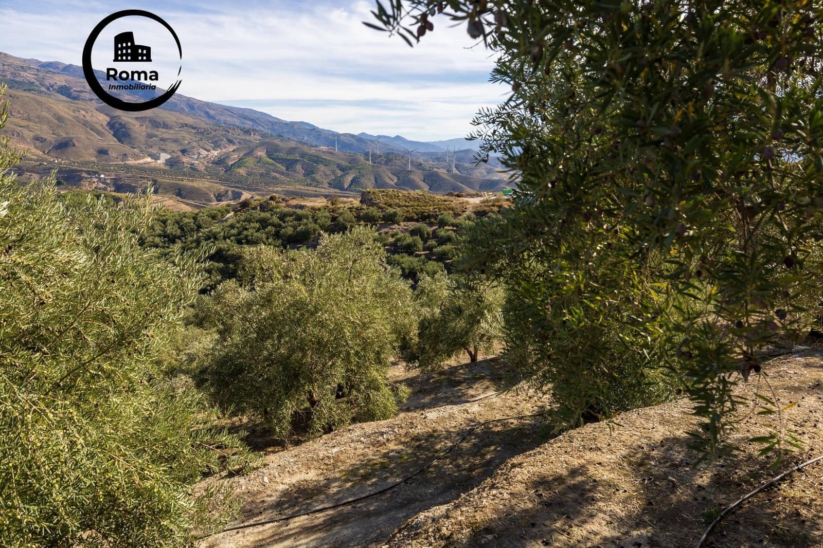 Undeveloped Land for sale in Lecrin - € 140,000 (Ref: 9720109)