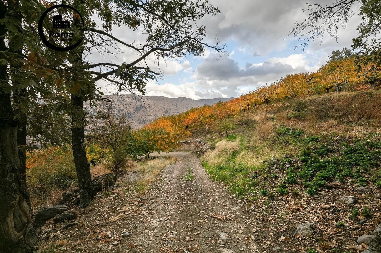 Grond te koop in Guejar Sierra - € 199.900 (Ref: 9748121)