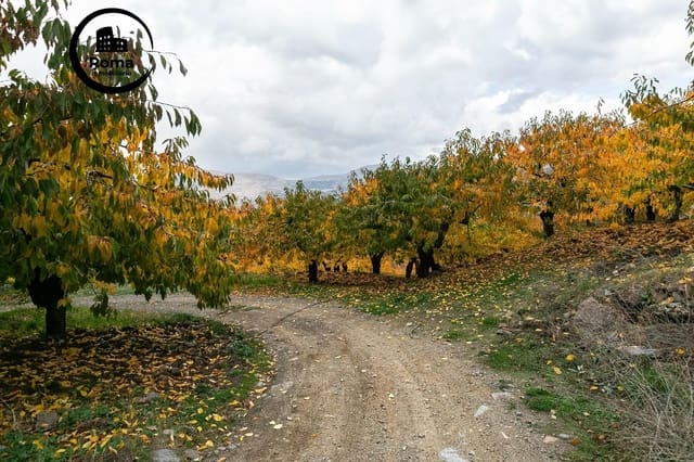 Grond te koop in Güéjar Sierra - € 199.900 (Ref: 9748121)