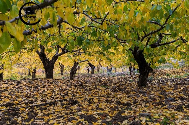 Grond te koop in Güéjar Sierra - € 199.900 (Ref: 9748121)