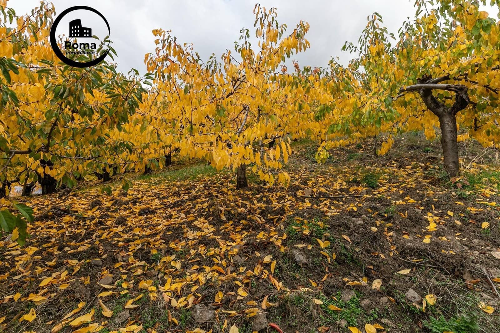 Grond te koop in Guejar Sierra - € 199.900 (Ref: 9748121)