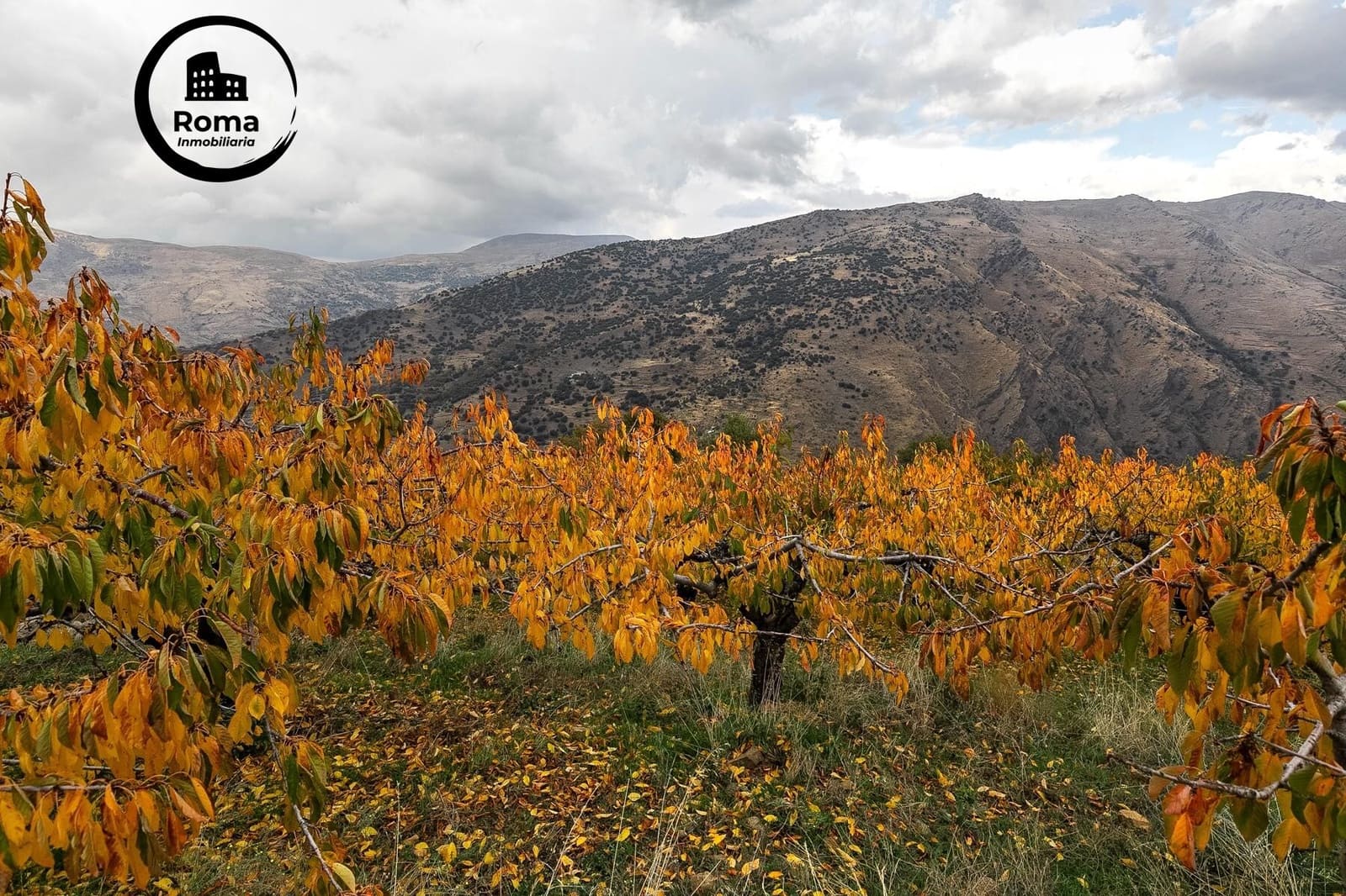 Grond te koop in Guejar Sierra - € 199.900 (Ref: 9748121)