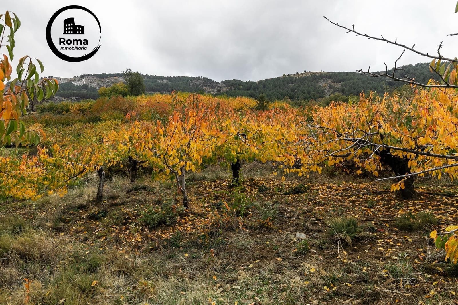 Grond te koop in Guejar Sierra - € 199.900 (Ref: 9748121)