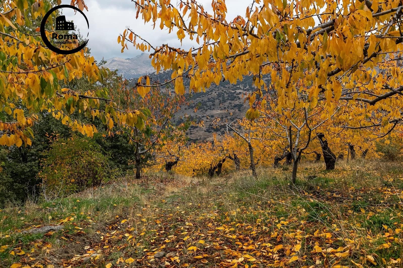 Grond te koop in Guejar Sierra - € 199.900 (Ref: 9748121)