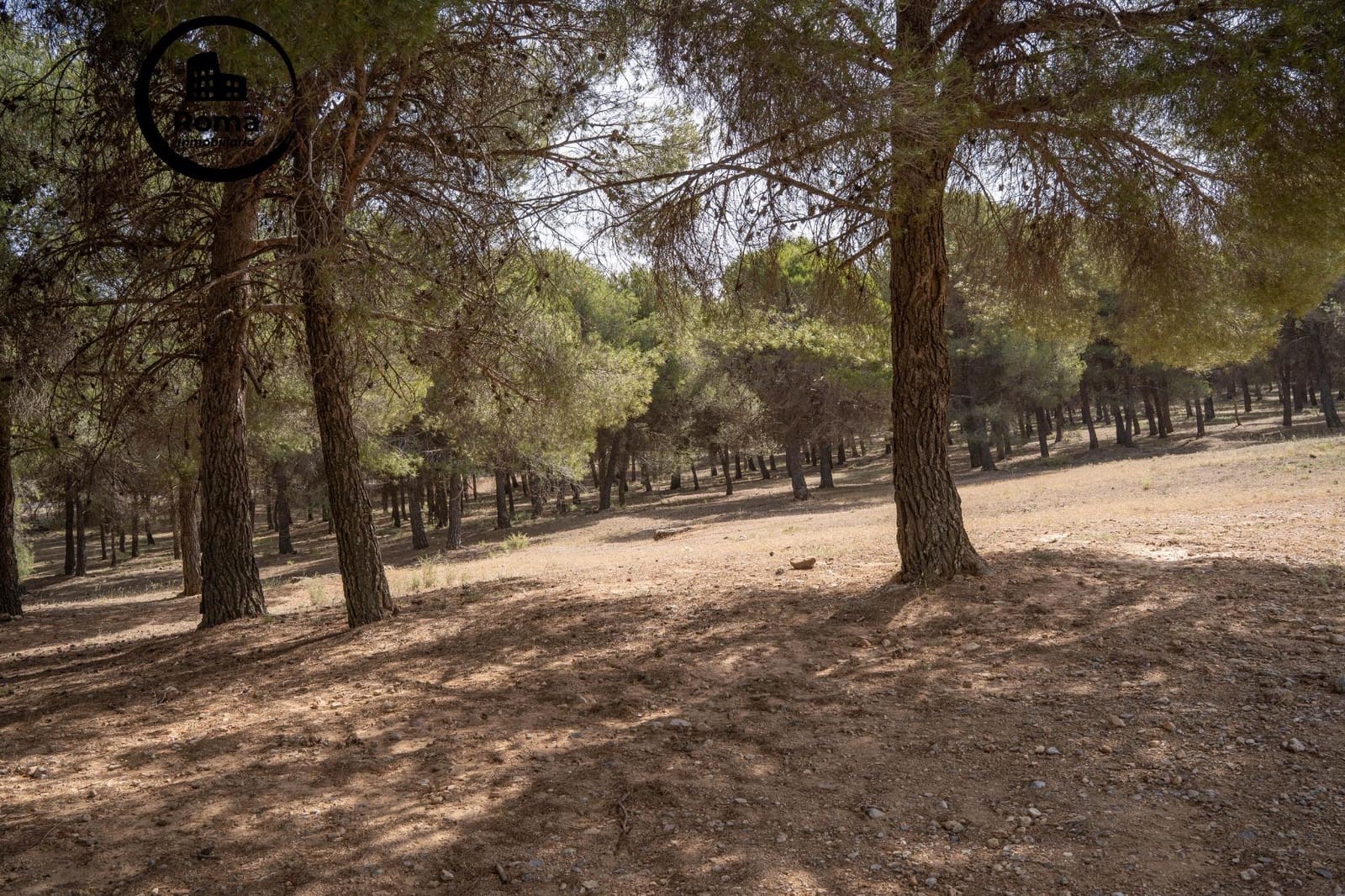 Chalet de 3 habitaciones en La Zubia en venta con piscina garaje - 350.000 € (Ref: 9748127)