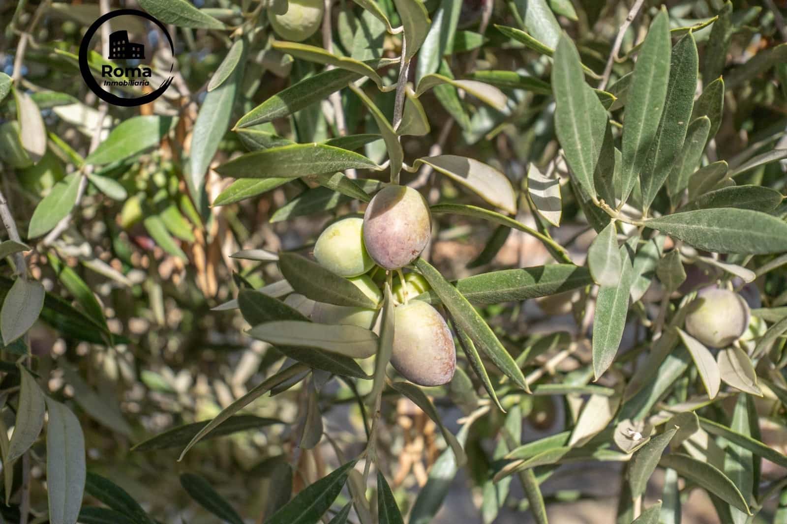 2 slaapkamer Villa te koop in Granada stad met zwembad garage - € 269.900 (Ref: 9748139)