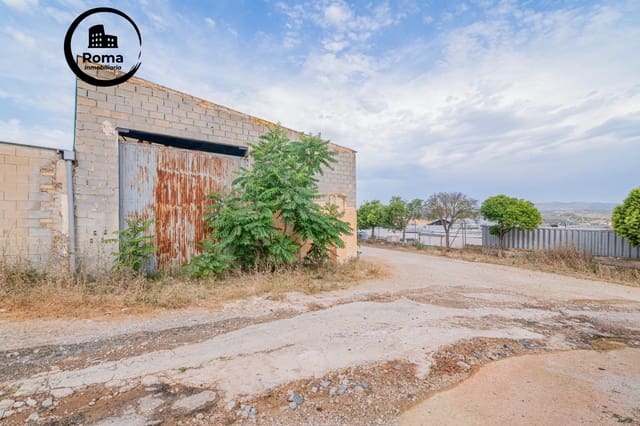 Virksomhed til salg i Loja - € 95.000 (Ref: 9752161)