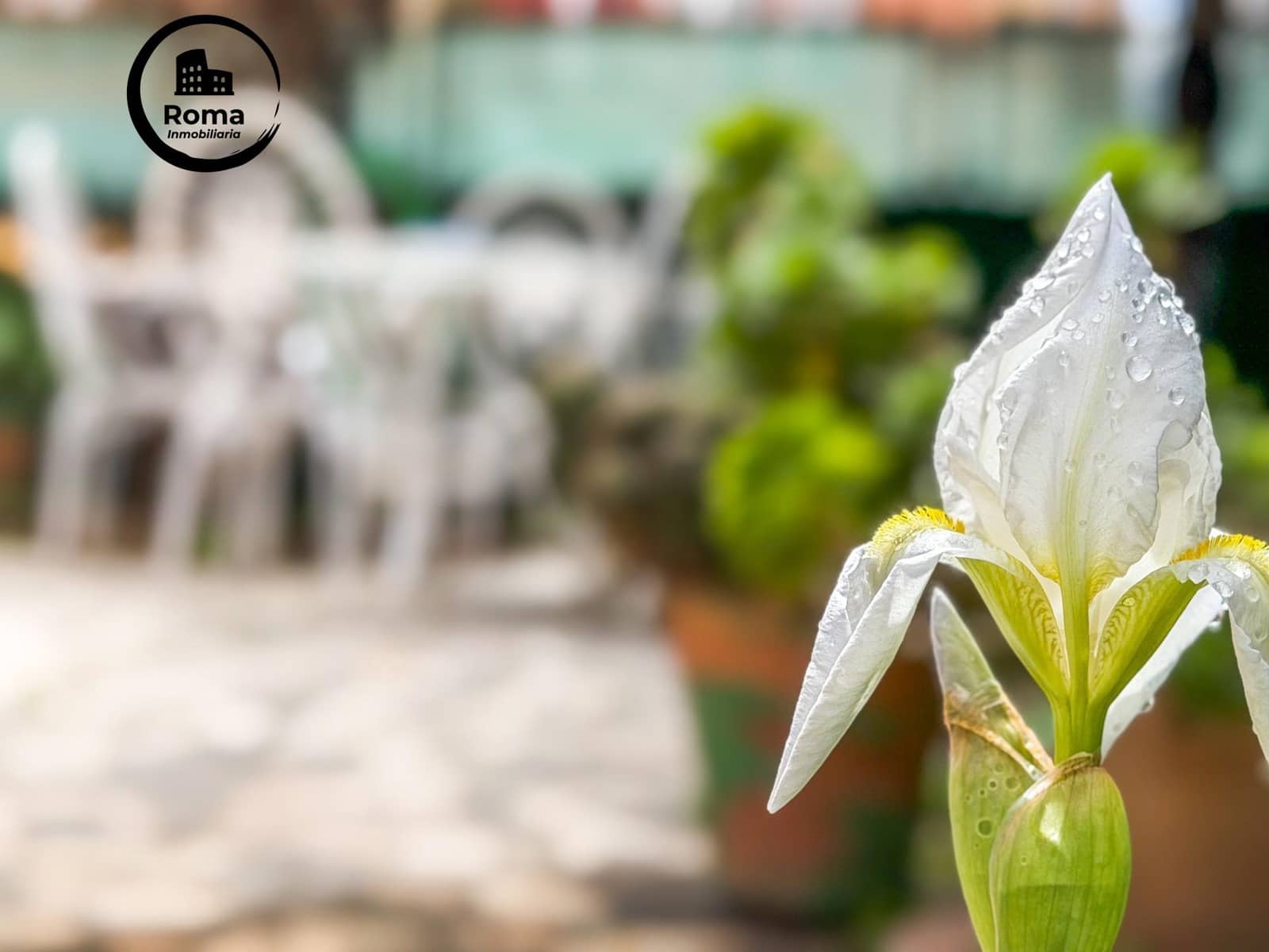 6 sypialnia Dom blizniak na sprzedaż w Miasto Grenada z garażem - 595 000 € (Ref: 9773224)